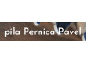 Pavel Pernica