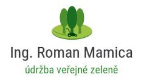 Ing. Roman Mamica