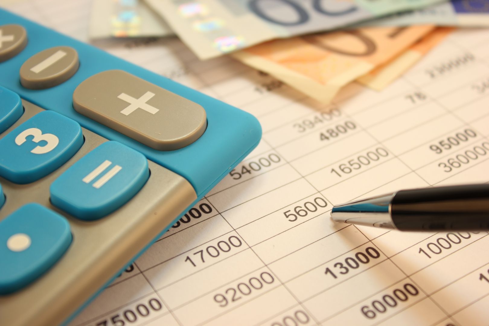 Poskytování statutárního auditu účetní závěrky a výroční zprávy.