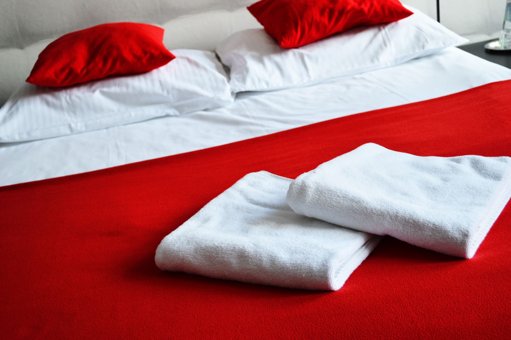 Ubytování v hotelu, Jeseníky, Orlické hory, pro 50 osob