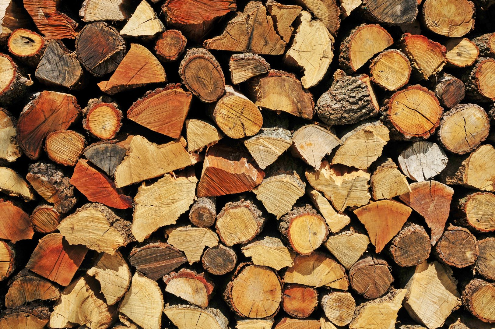 Těžbu dřeva, 50-500 m2
