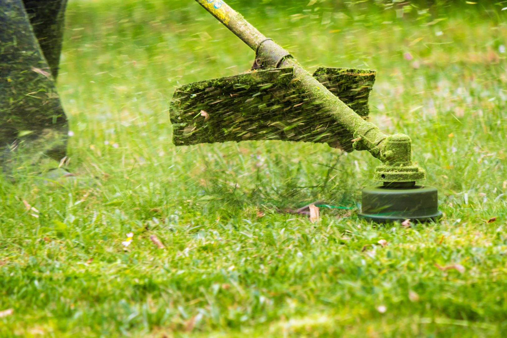 Poptávka na pokládka travního koberce (Zahradníci) - Benešov