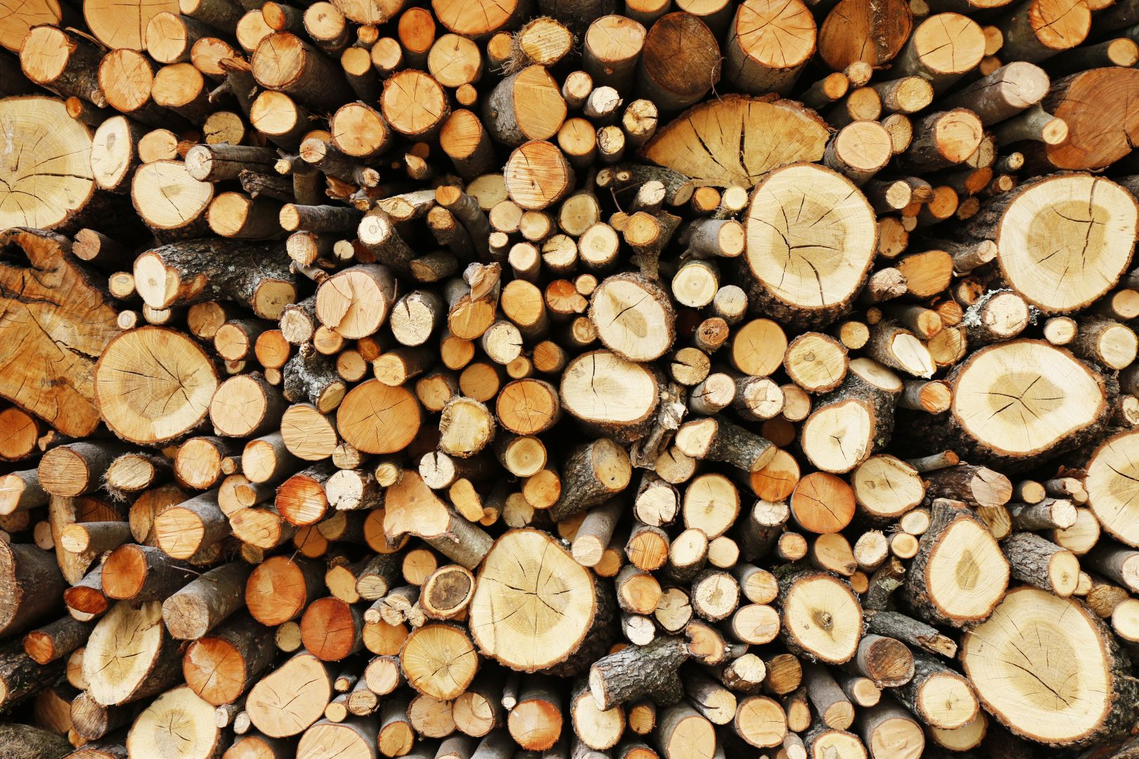 Poptávka na sušárna dřeva (Ostatní) - Teplice