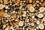 Poptávka na dřevo, piliny (Ostatní) - Liberec