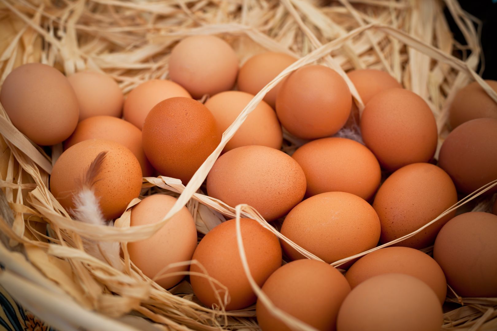 Dodání vajec