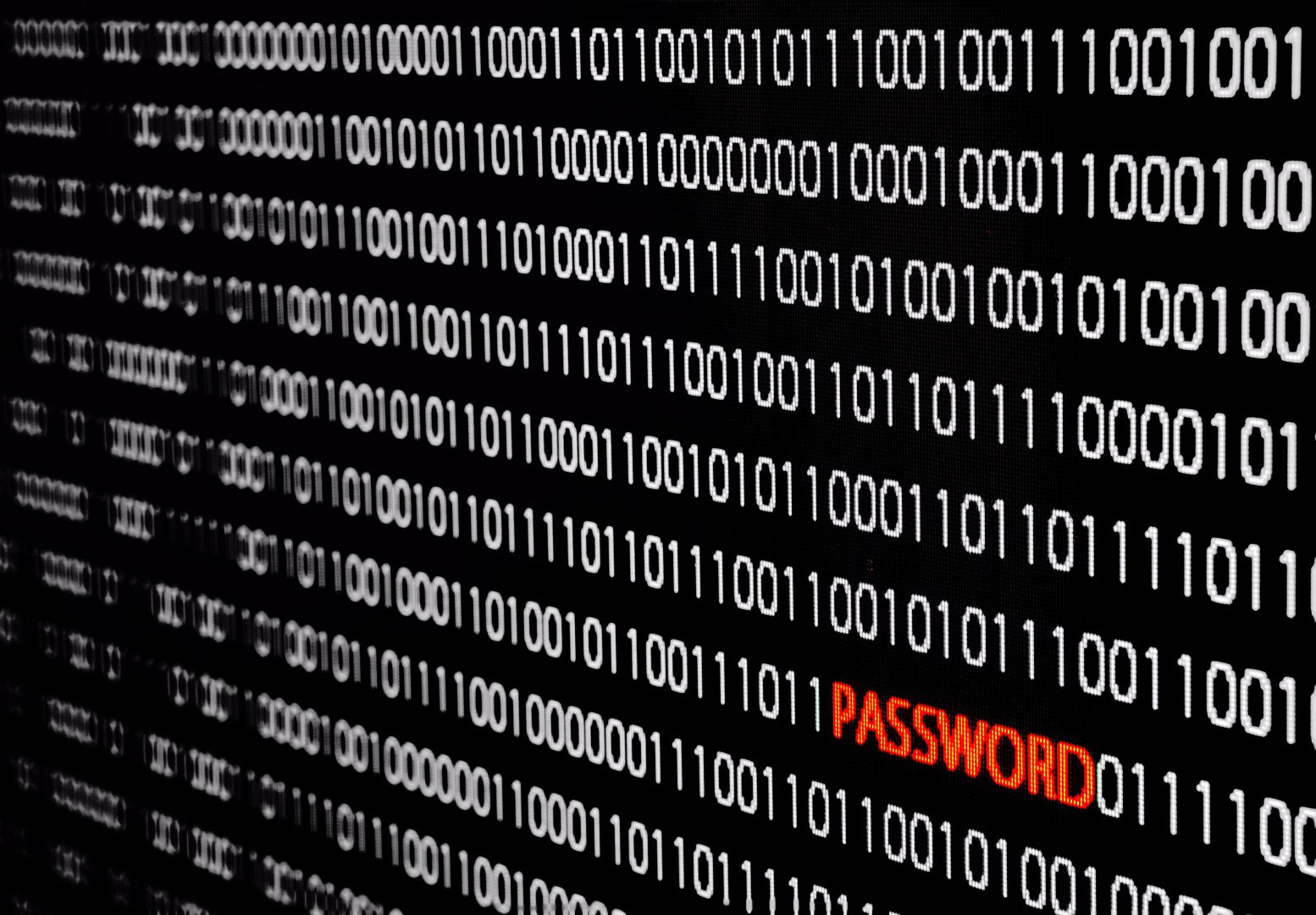 Poptávka na software na evidenci docházky a projektových hodin (Počítače, software) - Jičín