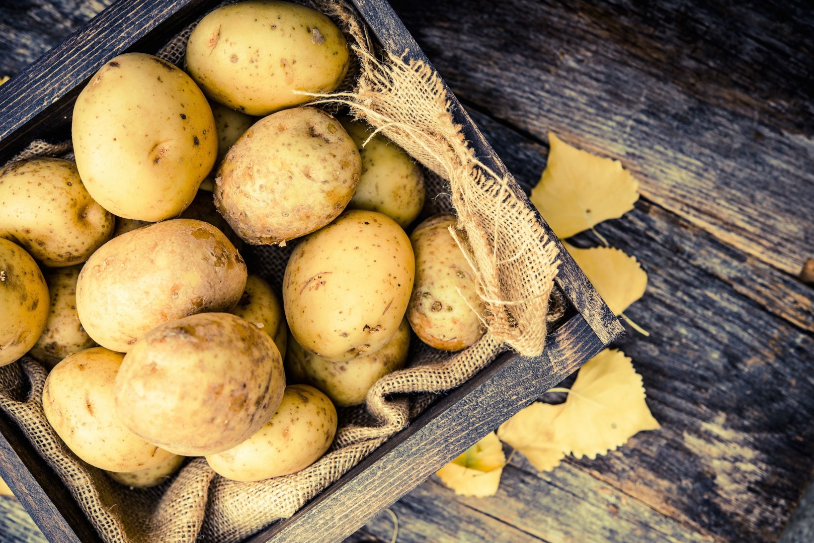 Dodávky nepraných brambor a cibule, 2,5 + 0,4 t týdně