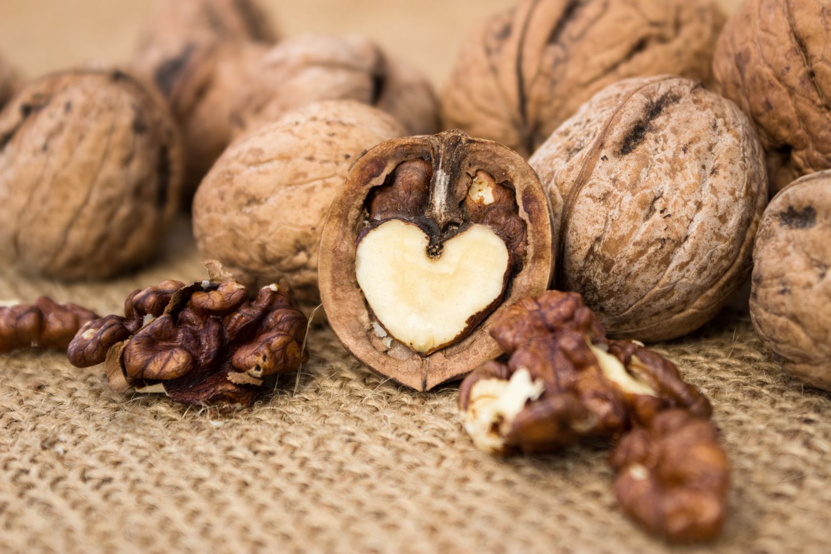 Dodavatele slupek a jader olejové palmy Palm Kernel Shell