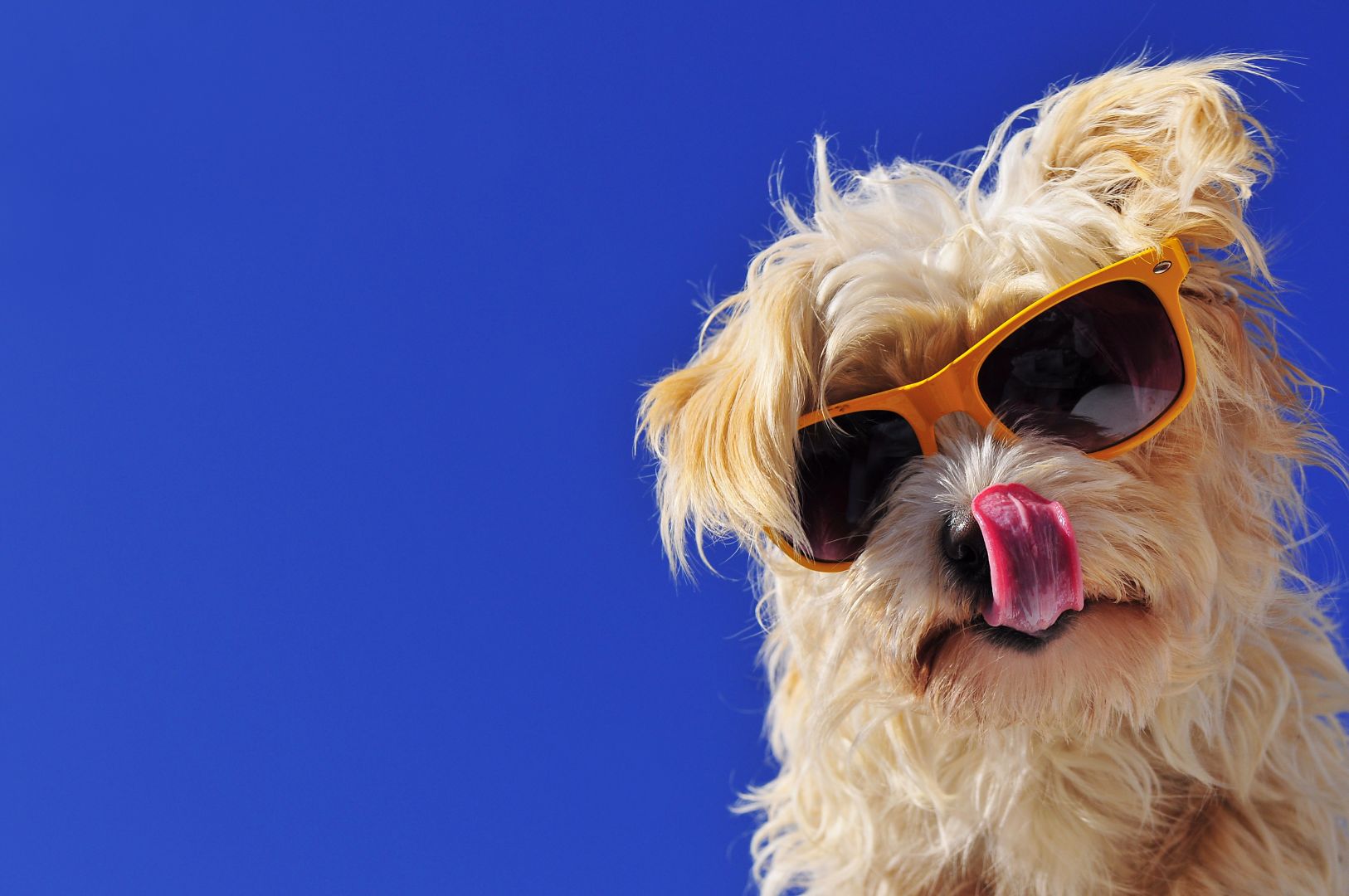 Poptávka na přívěs pro (Výrobky) - Kladno