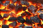 Uhlí ořech 1, 40 q