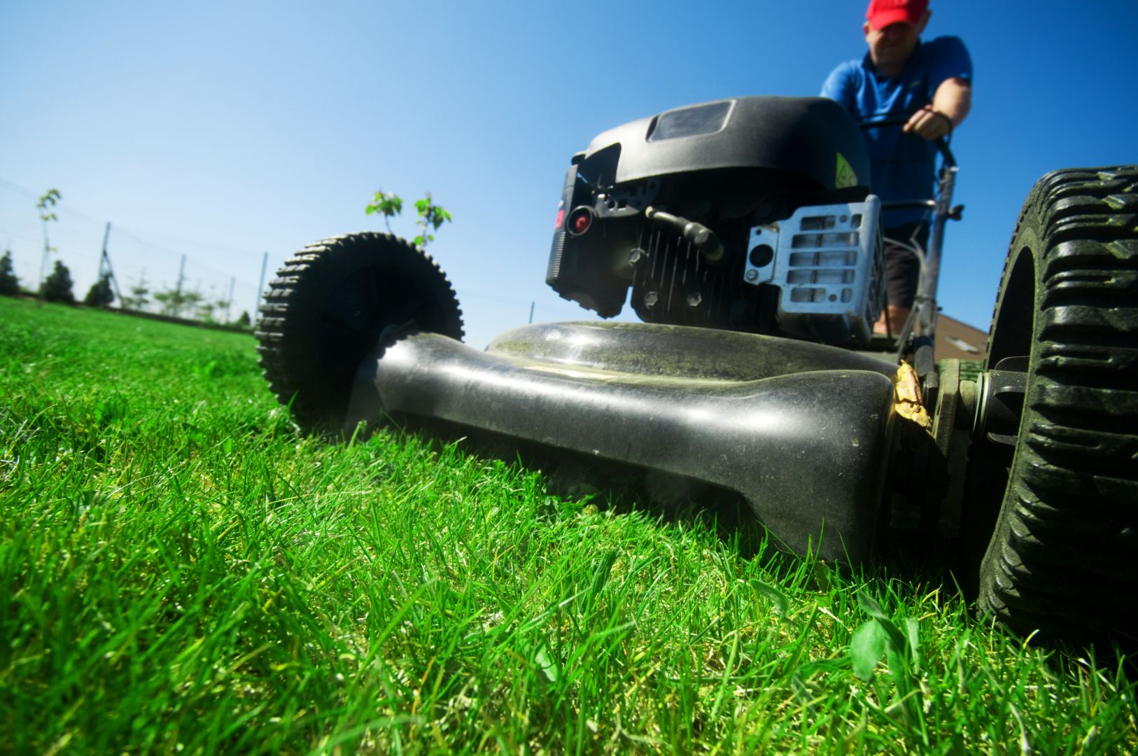 Poptávka na sekání trávy na pozemku (Zahradnictví a zahradnické služby) - Litoměřice
