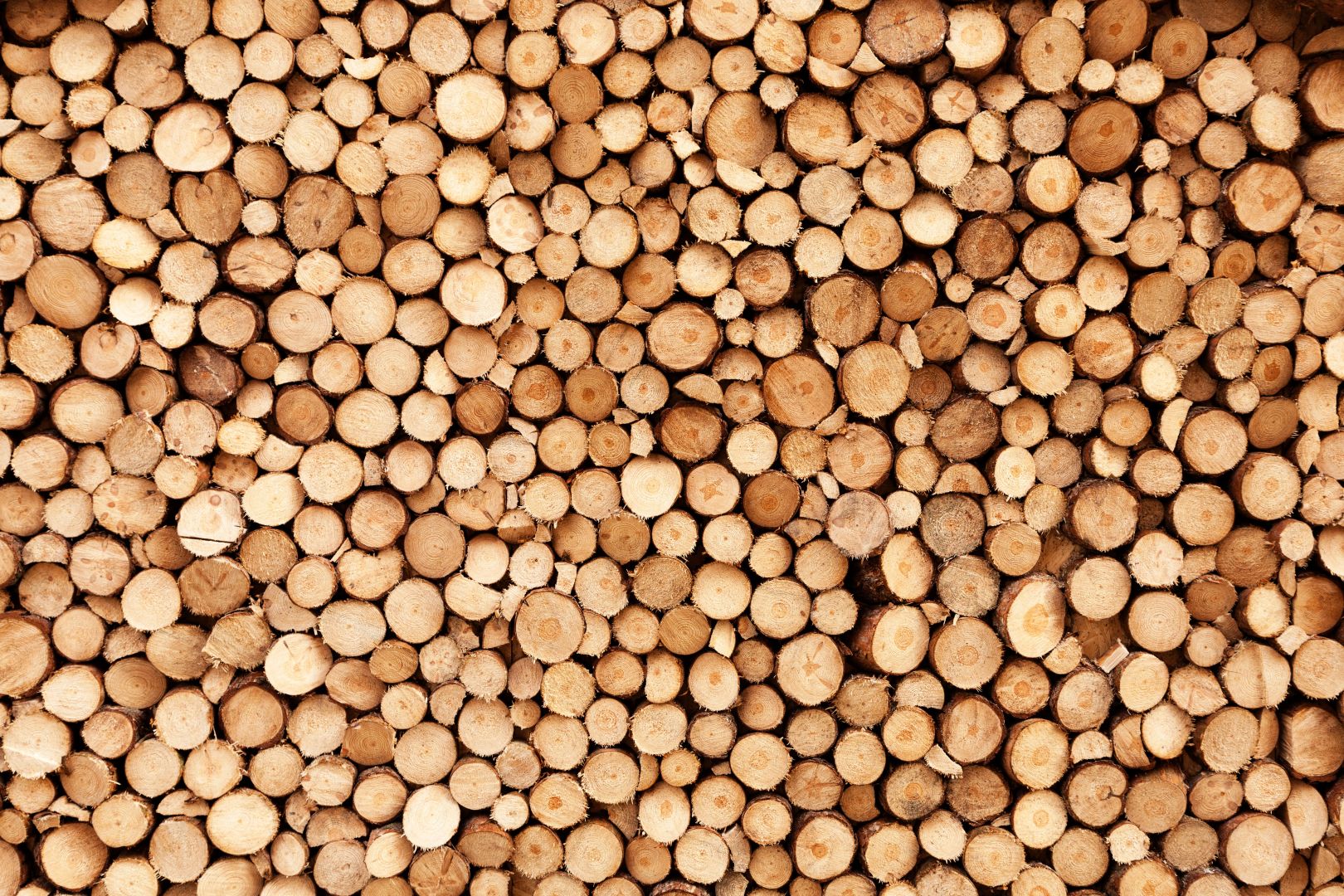 Poptávka na dřevěné brikety s dírou (Pelety, peletky a brikety) - Vyškov