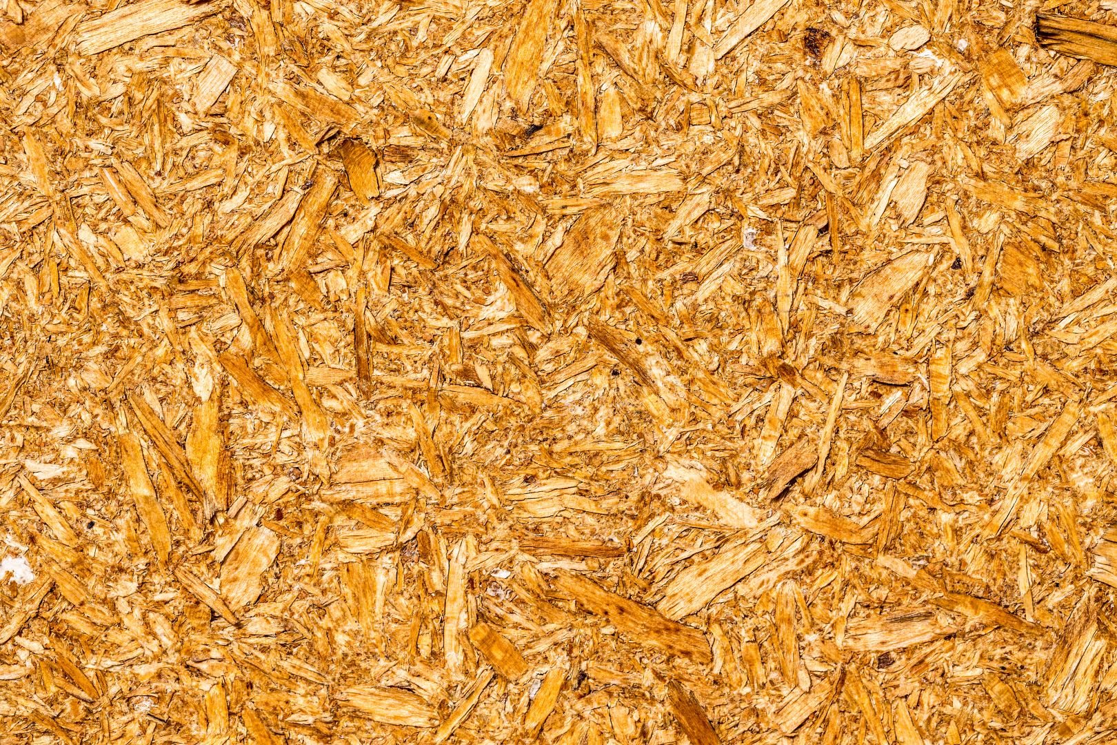Poptávka na krmnou pšenici (Krmivo) - Pelhřimov