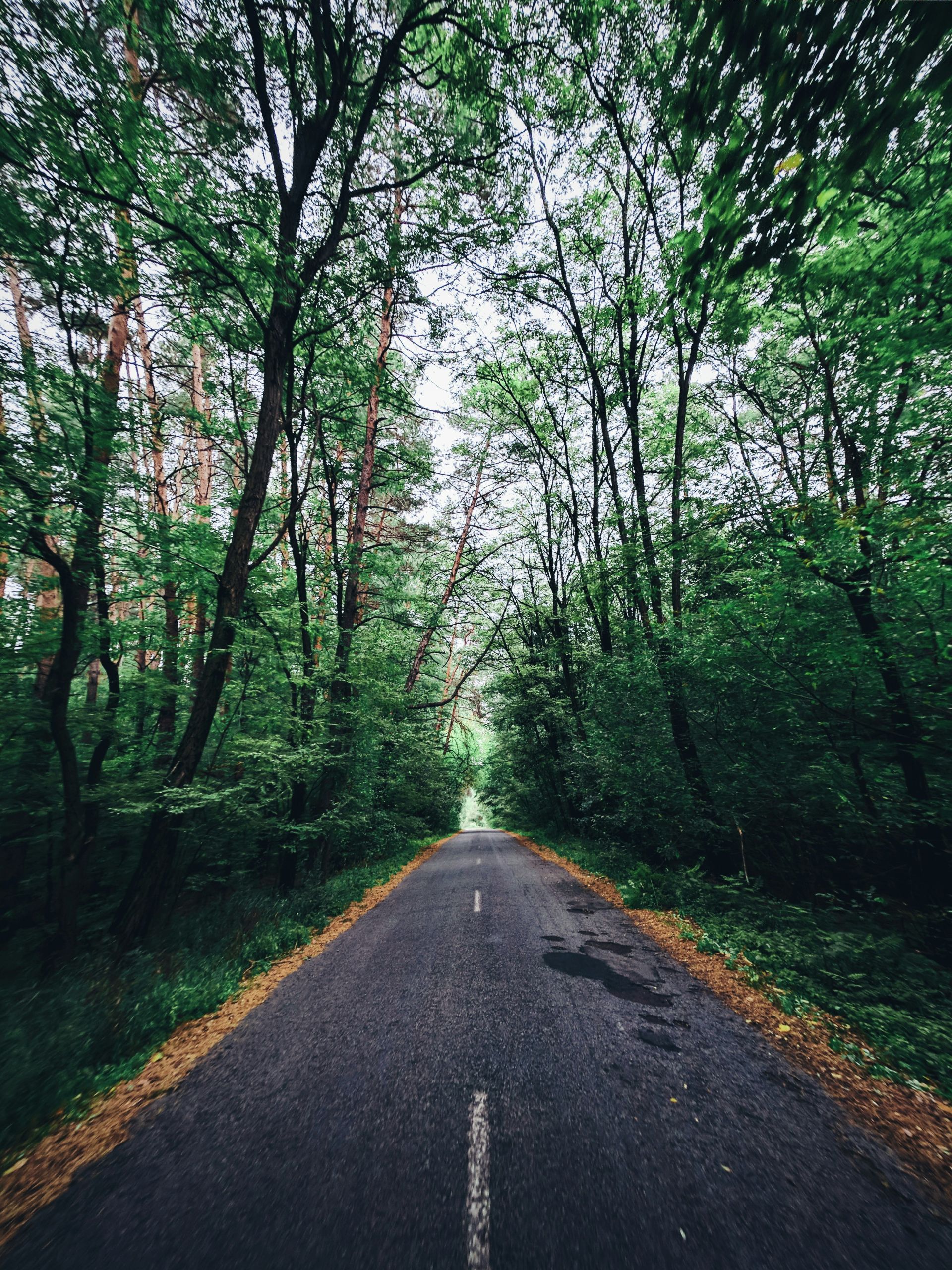 Výstavbu příjezdové silnice, 80 m²