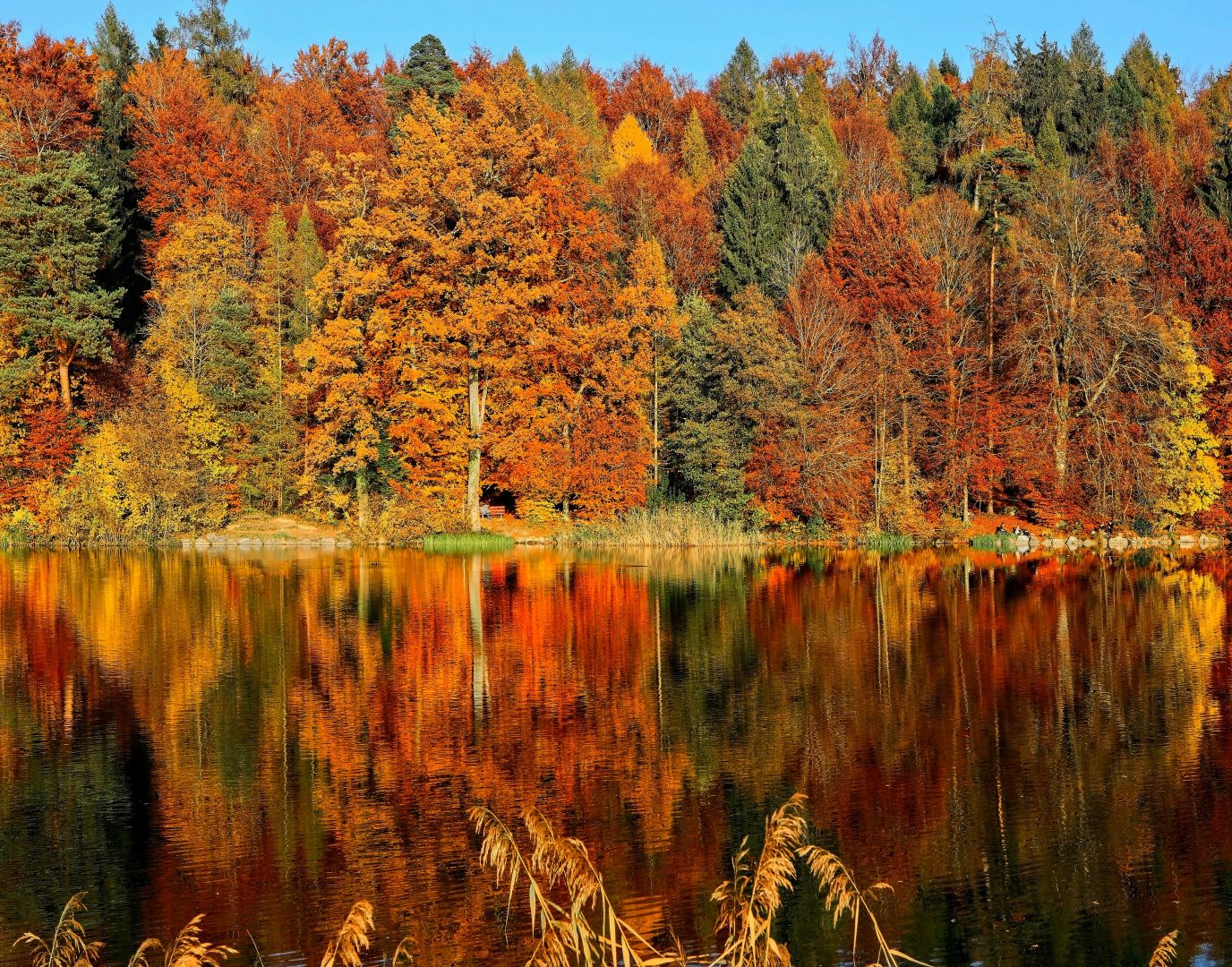 Výstavbu betonového jezírka, 700 m2