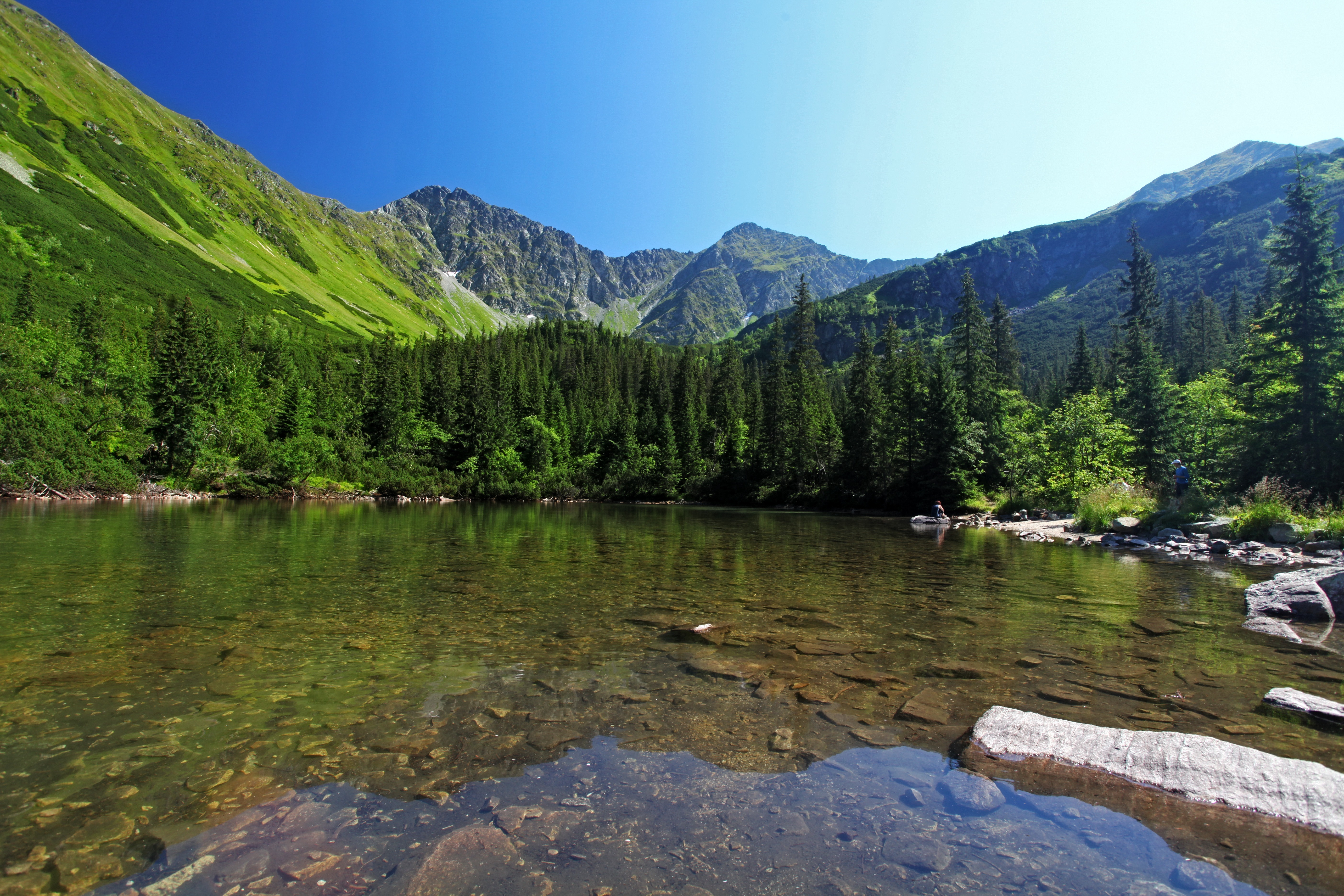 Background