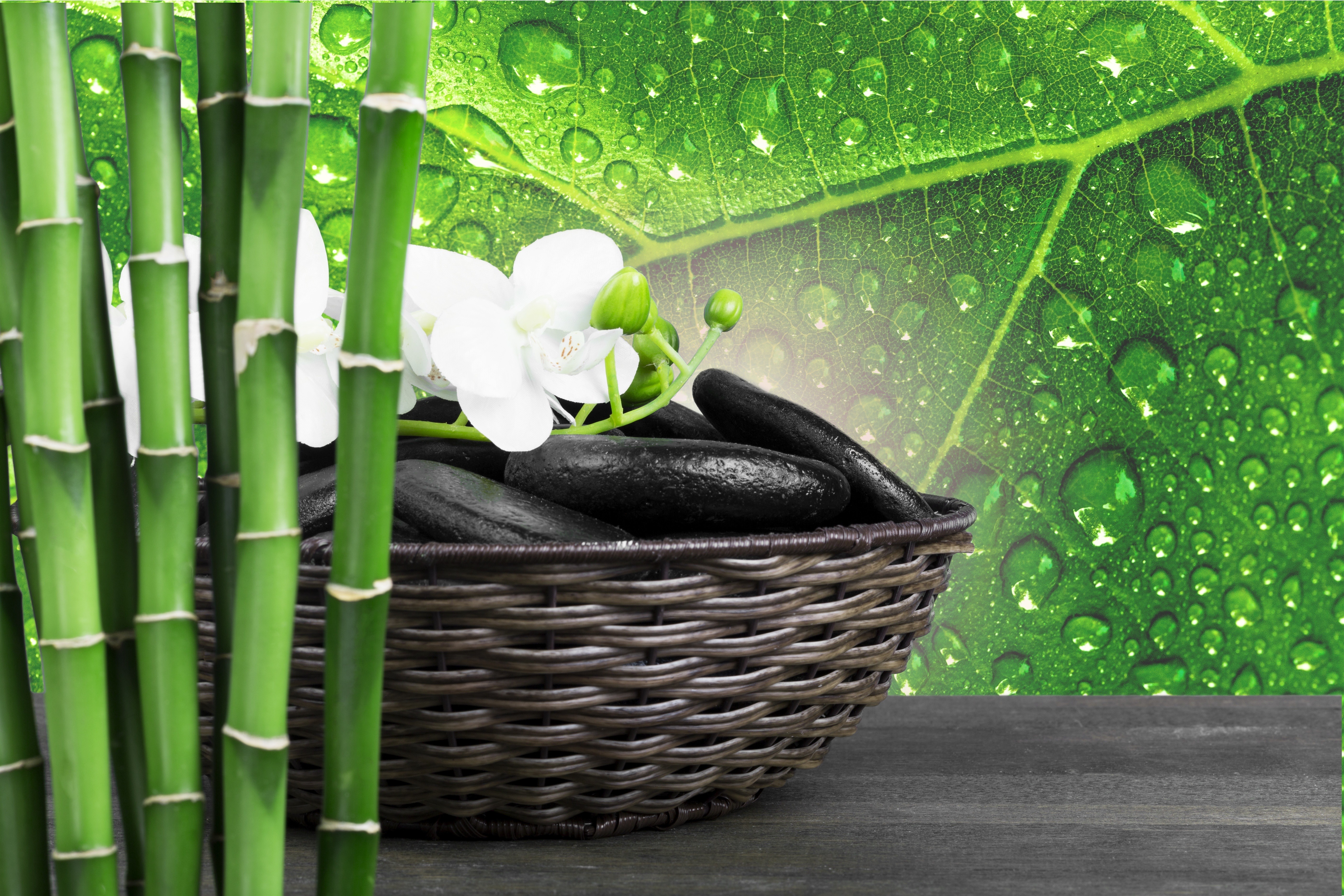 Background