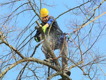 Thumb b27c563c cb50 4a55 8a46 bf2fa8e19a65