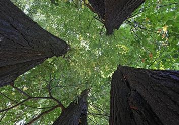 Thumb 420c089b 7e05 4ceb b80c 943a2dce59e4