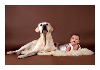 Thumb fc3a3452 f0e1 407e ba0d 3032413b8652