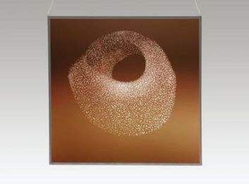 Thumb 3accf83c 4ba8 497a 875b fcc95745413b