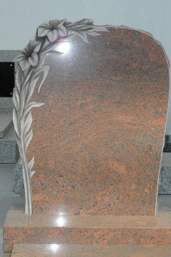 Thumb 72e804ff 332e 4638 825c ebbe5989339e