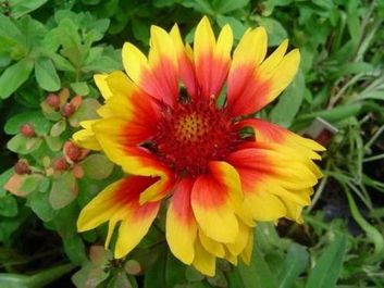 Thumb 9d3d8e39 386c 4383 b30d e2c093510799