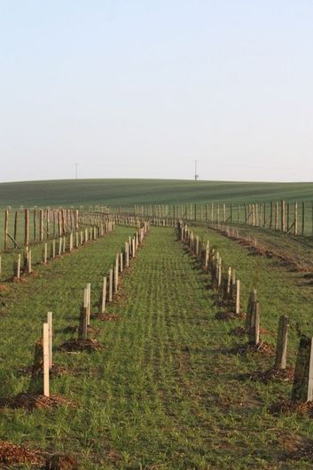 Thumb eedf4ec9 c110 4f3c a4e3 959829a5a6ff