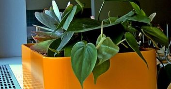 Thumb 09b1d4b6 377a 4854 a43f 16016ef9bf69