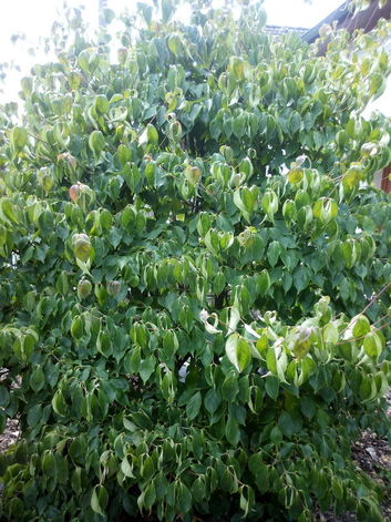 Thumb 6392813e 6f41 4b8f 876b 00361fe1a765