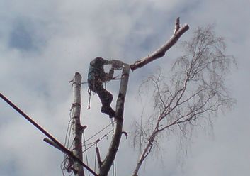 Thumb 481e047e f838 4701 b34f f4cef3853e91