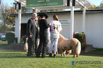 Thumb f99e25cf 11c7 462a 9be5 fbc69c29031e