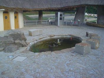 Thumb 91e2f960 ea5e 440d ba91 d1d75b1debb9