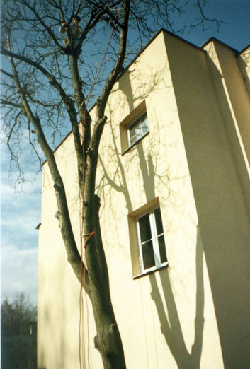 Thumb 74bf56cb 32fd 46fe 8a93 6090d78da1b9