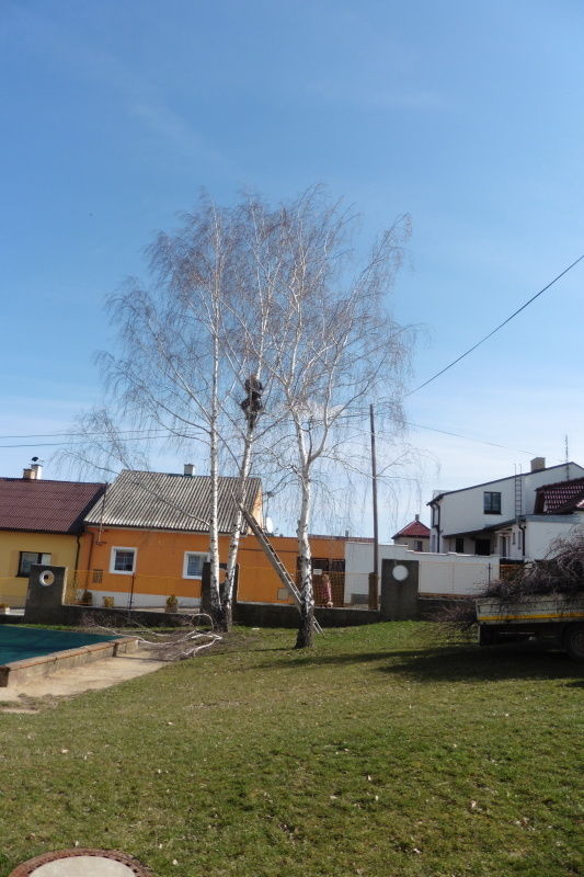 De10c6c1 bbd9 422f 9843 1f992dce950e