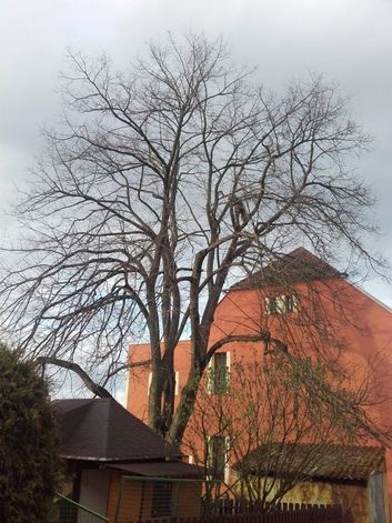 Thumb 7bbf6b8d 9c85 4941 9cec 155e0ac4eef9