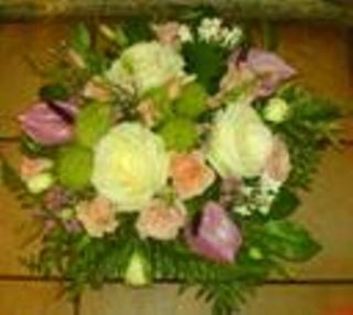Thumb c61be1fd 4981 4928 ab2b 25c064900725