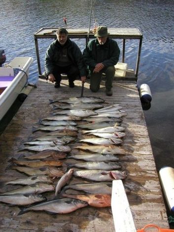 Thumb 72659e45 f606 47b1 8540 d71c837747b7