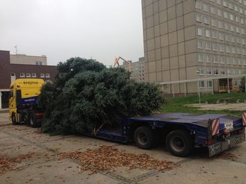 Thumb 405fb48a fad6 4577 bb5a cc20dafdd7fd