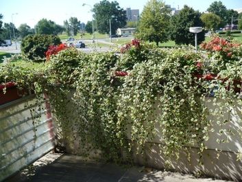 Thumb 40754c42 9254 4276 a665 ce0c5bef25d9