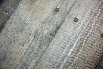 Thumb 1d3785a7 f6f0 458b bc18 cc21c5138a22