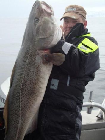 Thumb b5babdc8 b5f7 4193 9dc7 a6d2cf067dbe