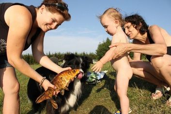 Thumb 0d61c0ea 4d13 4c38 9c7b a3f4e56ee4cf