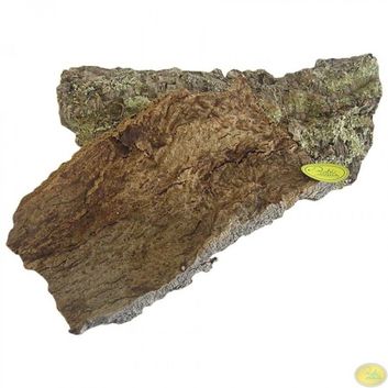 Thumb 1a8c46e7 1e0c 4a41 83af 897dc2794203