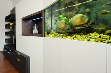 Thumb 4e60d1fa 898e 40ab aaee 316f72b12097