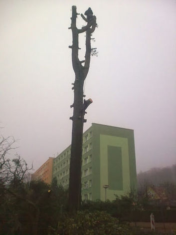 Thumb f5f222bb 5dee 47cf 9eed 46b1c2a9abef